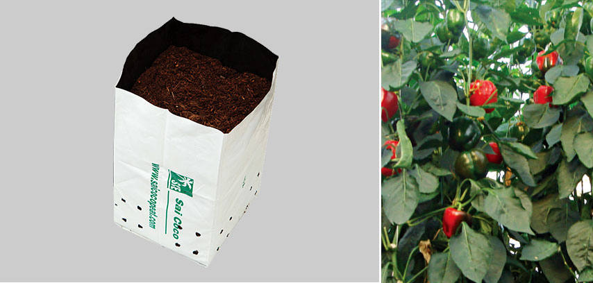 Cocopeat Opentop Growbags